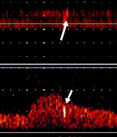 Figure 2